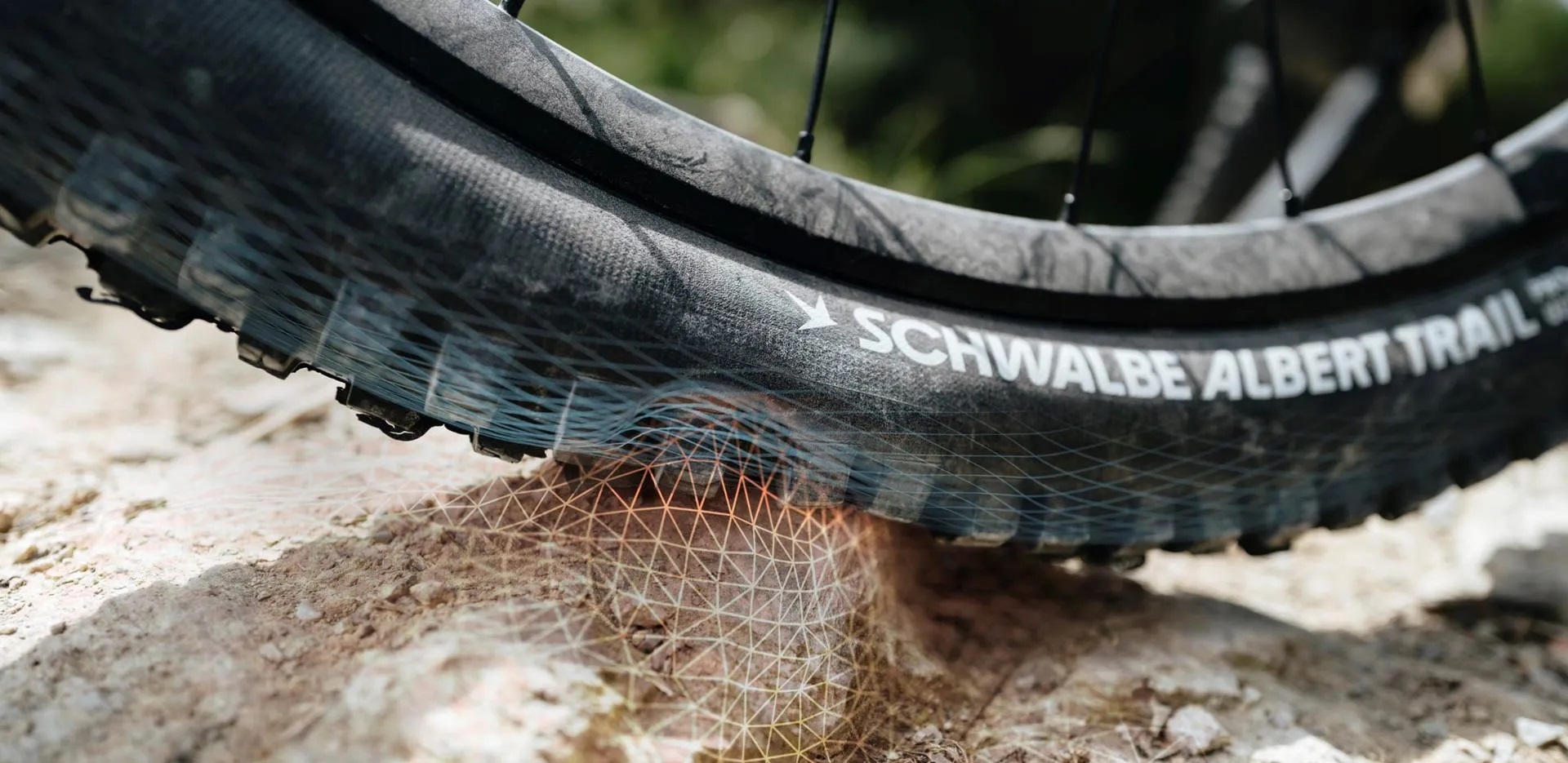 Schwalbe Radial Trail i Gravity - czy to rewolucja w oponach MTB?