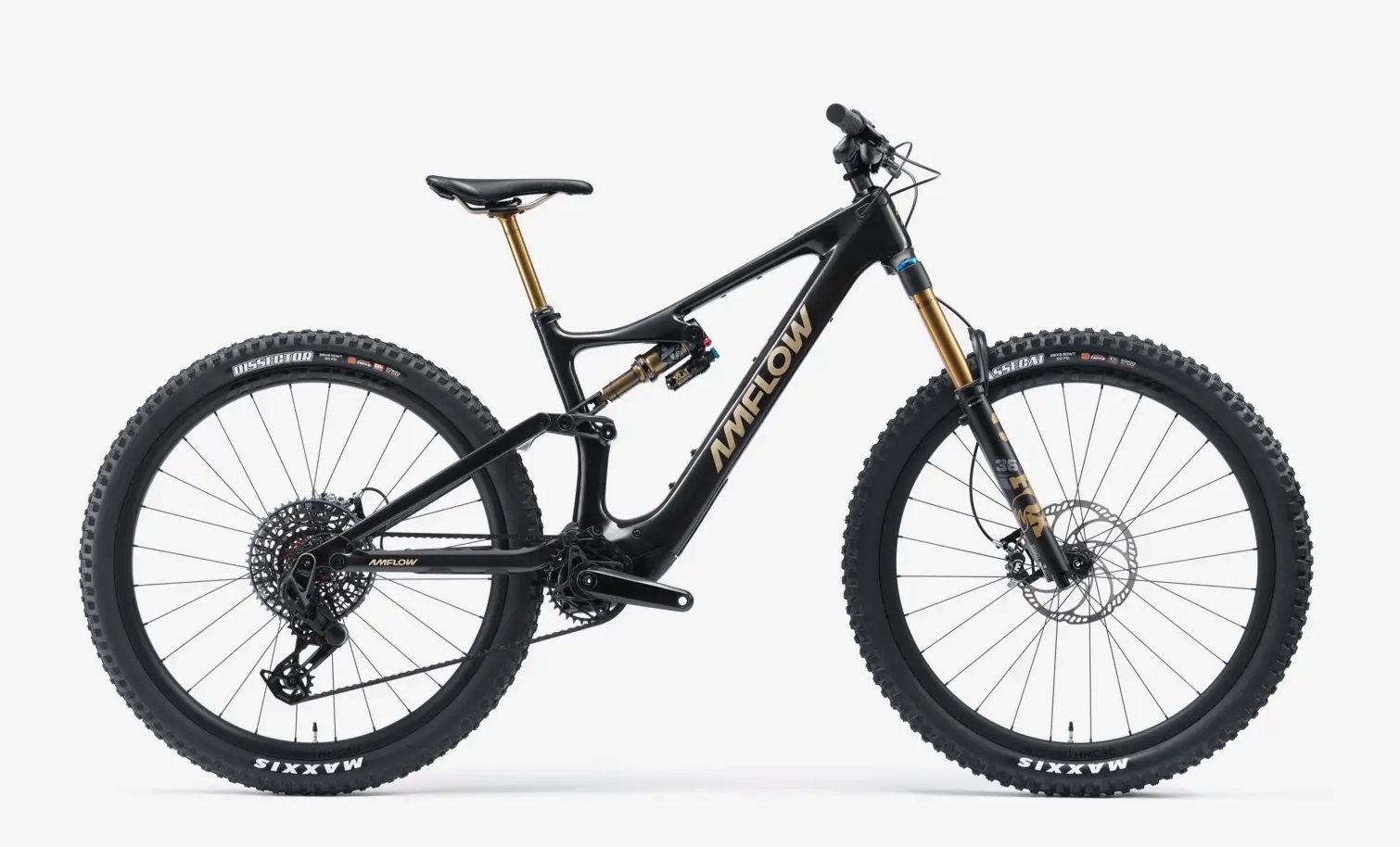 eMTB Amflow PL Carbon