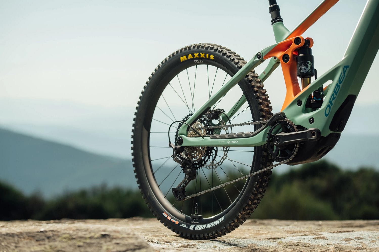 Orbea Wild 2025 - suspension